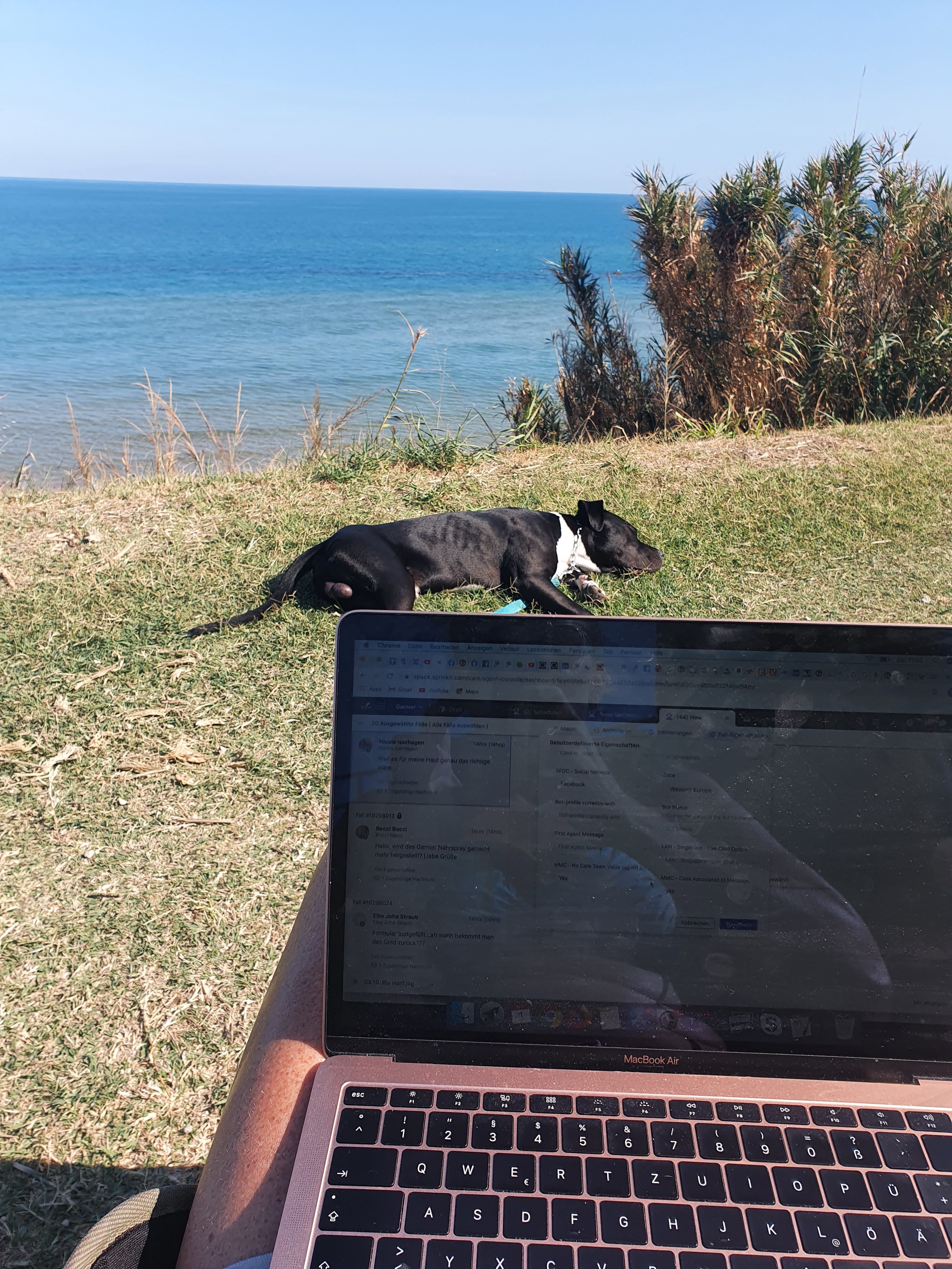 Michi Muse – Community Management & Content